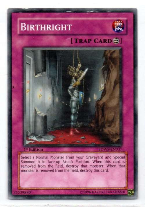 Yu-Gi-Oh! - Birthright - 1st Ed/Common - Warriors` Strike Structure Deck (SDWS-EN037)