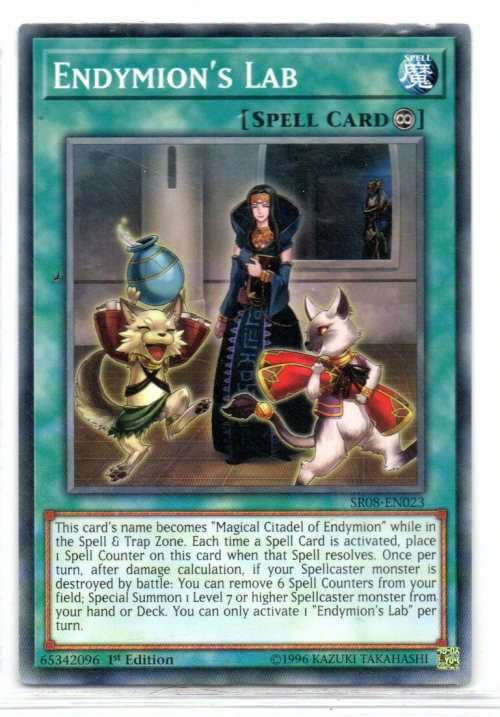 Yu-Gi-Oh! - Endymion`s Lab - 1st Ed/Common - Structure Deck: Order of the Spellcasters (SR08-EN023)