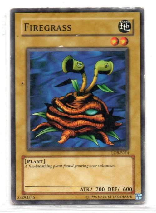 Yu-Gi-Oh! - Firegrass - Common - Legend of Blue Eyes White Dragon (LOB-E014)