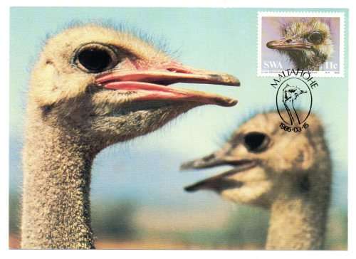 1985 South-West Africa The Ostrich Postcard Set #14 - 17 Set
