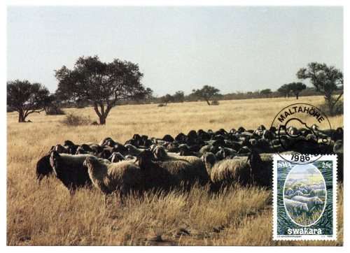 1986 South-West Africa The Karakul Industry Postcard #38 - 41 Set