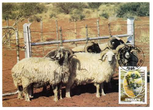 1986 South-West Africa The Karakul Industry Postcard #38 - 41 Set
