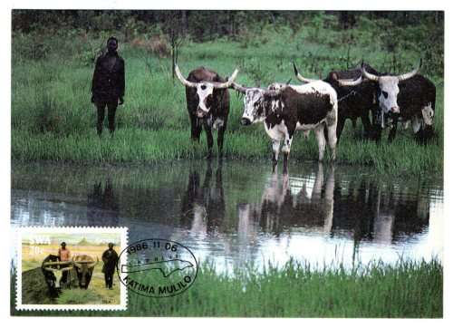 1986 South-West Africa Caprivi Postcard #42 - 45 Set