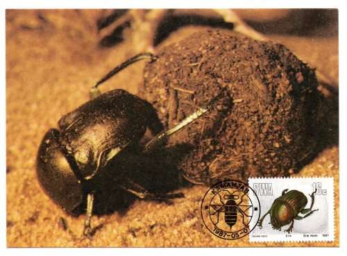 1987 South-West Africa Useful Insects Postcard #50 - 53 Set