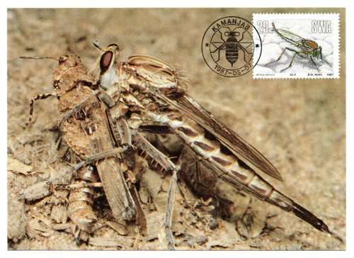 1987 South-West Africa Useful Insects Postcard #50 - 53 Set