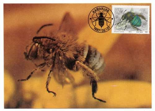 1987 South-West Africa Useful Insects Postcard #50 - 53 Set