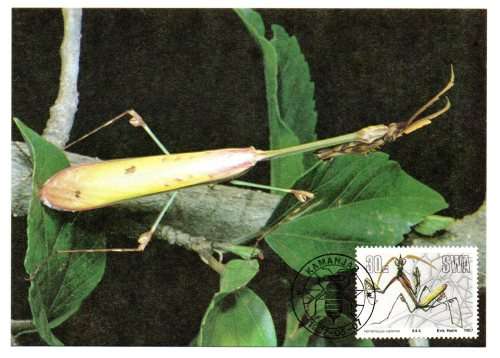 1987 South-West Africa Useful Insects Postcard #50 - 53 Set