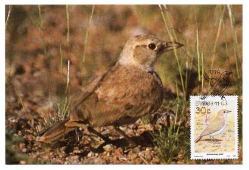 1988 South-West Africa Birds Postcard #74 - 77 Set