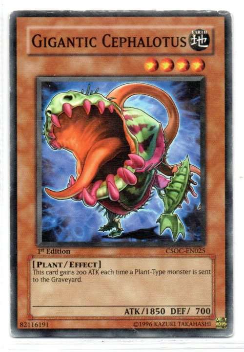 Yu-Gi-Oh! - Gigantic Cephalotus - 1st Ed/Common - Crossroads of Chaos (CSOC-EN025)