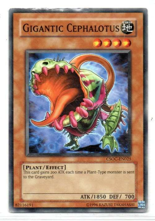 Yu-Gi-Oh! - Gigantic Cephalotus - Common - Crossroads of Chaos (CSOC-EN025)