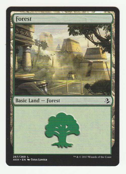VN - MTG Bulk Lot 1/5 Forest (20 cards)