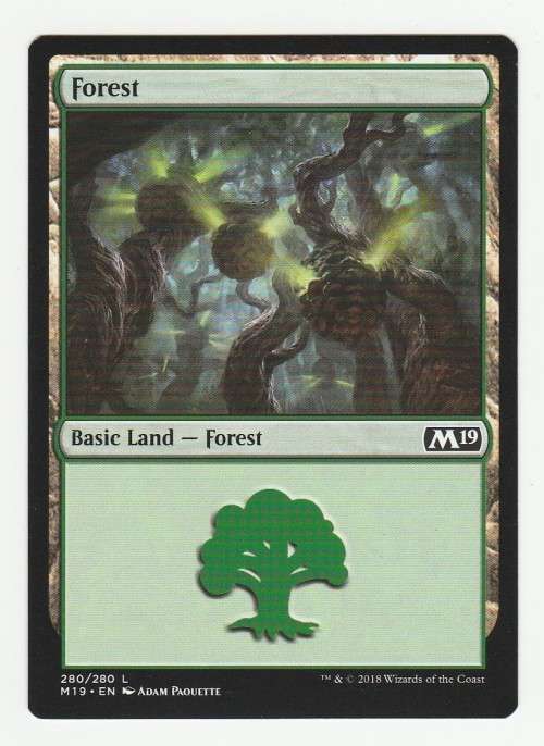 VN - MTG Bulk Lot 1/5 Forest (20 cards)