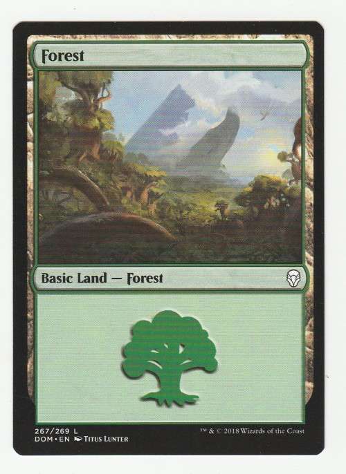 VN - MTG Bulk Lot 1/5 Forest (20 cards)