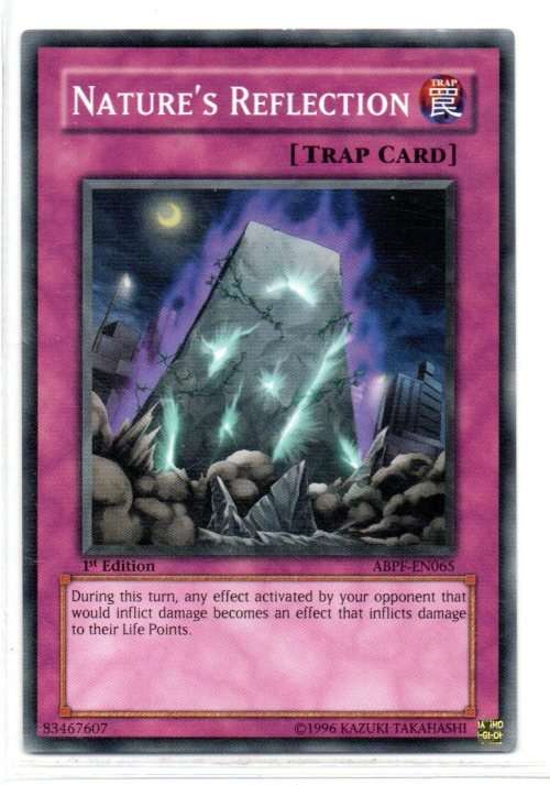 Yu-Gi-Oh! - Nature`s Reflection - 1st Ed/Common - Absolute Powerforce (ABPF-EN065)