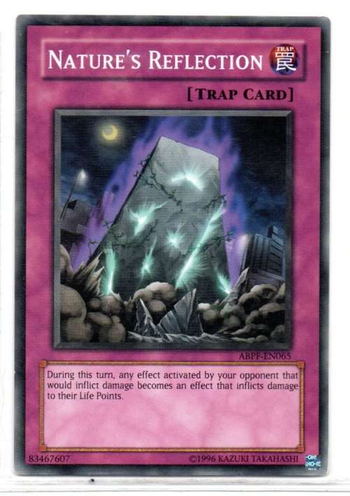 Yu-Gi-Oh! - Nature`s Reflection - Common - Absolute Powerforce (ABPF-EN065)