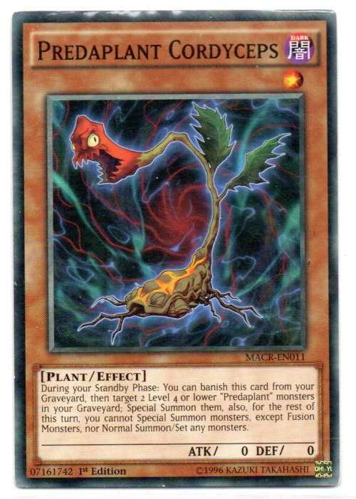Yu-Gi-Oh! - Predaplant Cordyceps - 1st Ed/Common - Maximum Crisis (MACR-EN011)