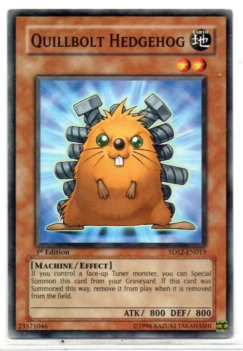 Yu-Gi-Oh! - Quillbolt Hedgehog - 1st Ed/Common - Starter Deck: Yu-Gi-Oh! 5D`s 2009 (5DS2-EN013)