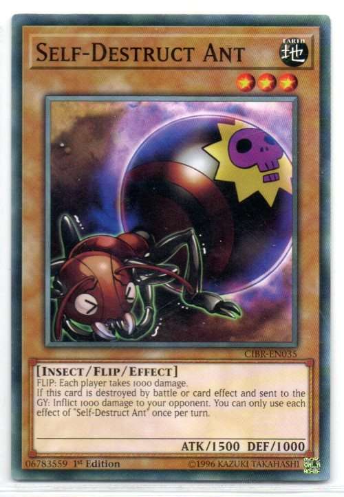 Yu-Gi-Oh! - Self-Destruct Ant - 1st Ed/Common - Circuit Break (CIBR-EN035)