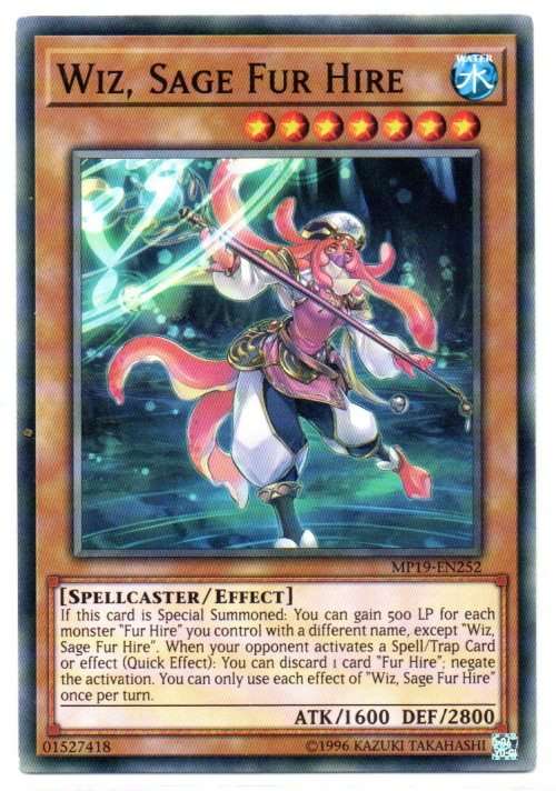 Yu-Gi-Oh! - Wiz, Sage Fur Hire - Common - 2019 Gold Sarcophagus Tin Mega Pack (MP19-EN252)