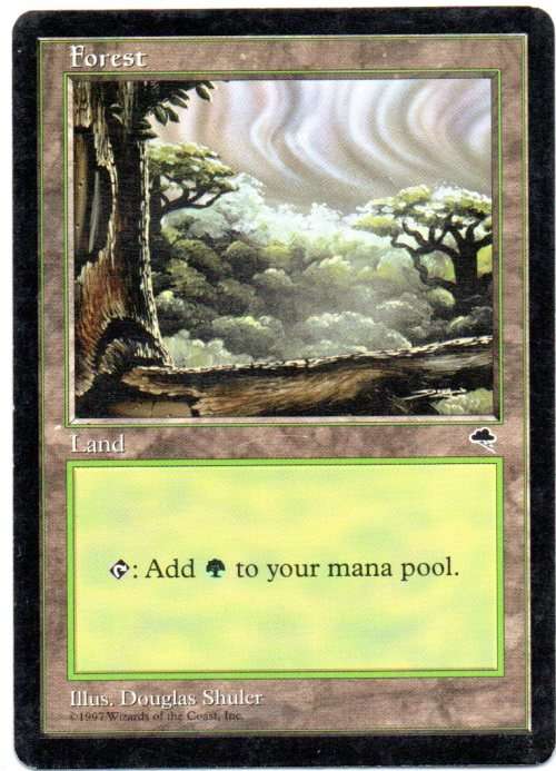 Magic The Gathering 1997 - Forest - Tempest