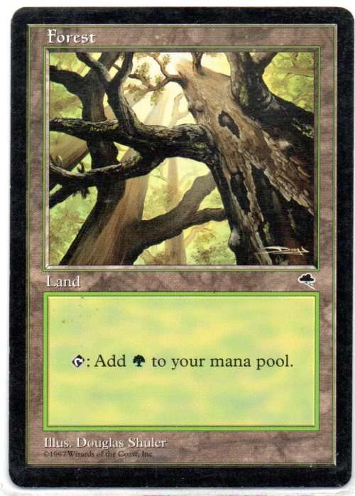 Magic The Gathering 1997 - Forest - Tempest