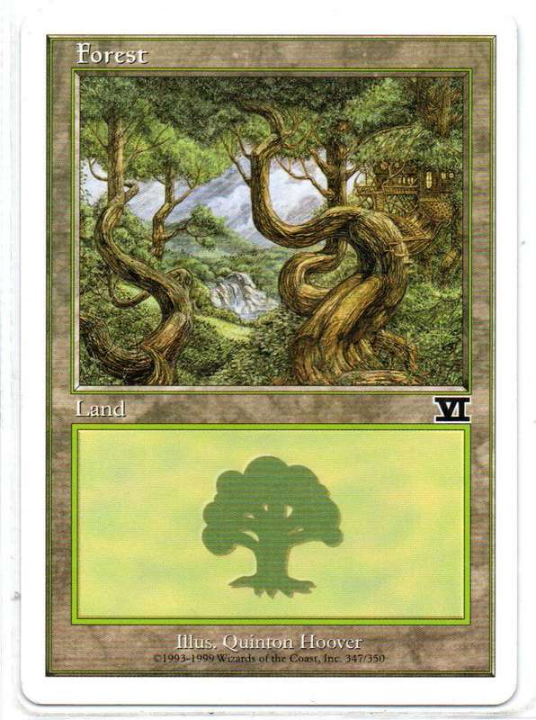 Magic The Gathering 1997 - Forest - Classic Sixth Edition