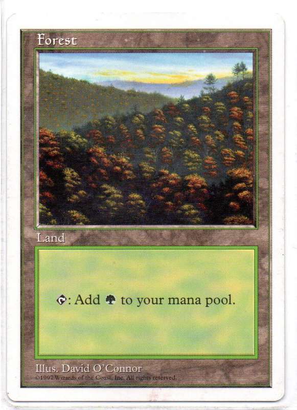 Magic The Gathering 1997 - Forest - Fifth Edition