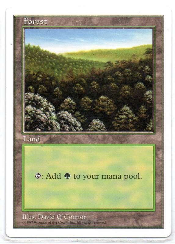 Magic The Gathering 1997 - Forest - Fifth Edition