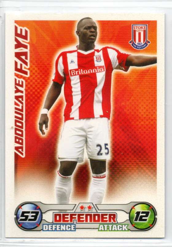 Topps Match Attax PL 2008/2009 - Stoke City - 16 Cards
