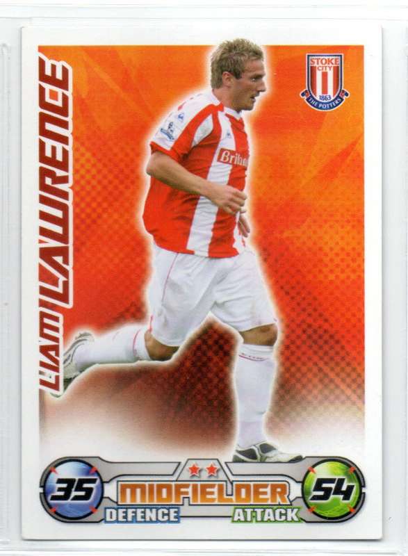 Topps Match Attax PL 2008/2009 - Stoke City - 16 Cards