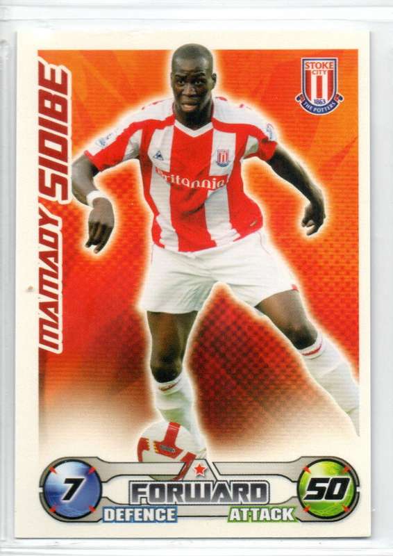 Topps Match Attax PL 2008/2009 - Stoke City - 16 Cards