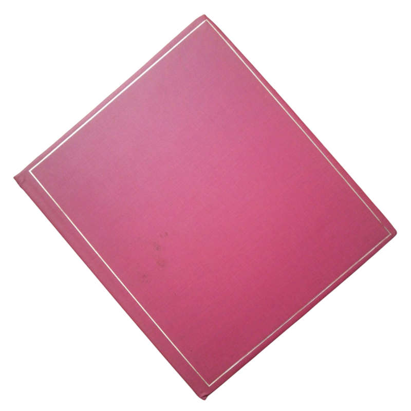 Red 15 Page / 30 Page (White) Stockbook
