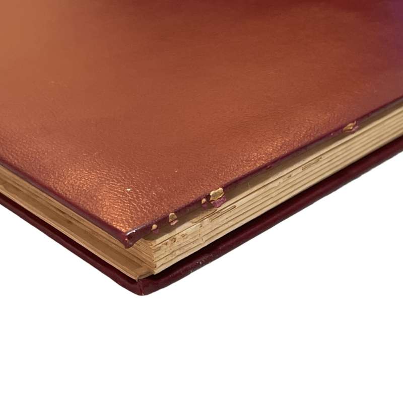 KEK Red 8 Page / 16 Side (White) Stockbook *Stained Pages