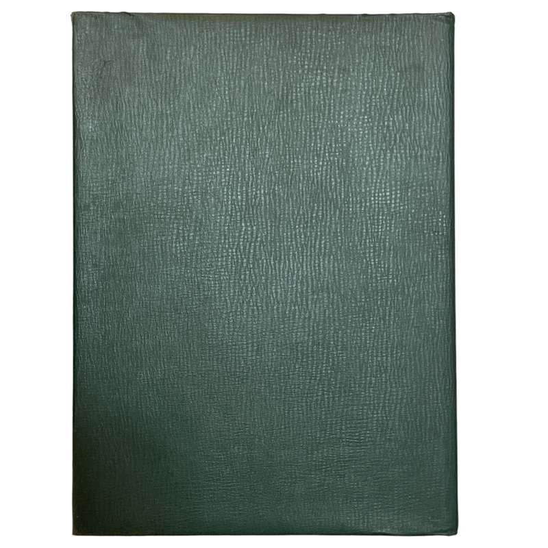 Lighthouse Green 8 Page / 16 Side (White) Stockbook *Stained Pages