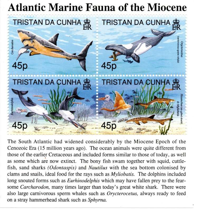 Tristan Da Cunha 1998 Atlantic Marine Fauna of the Miocene Minisheet