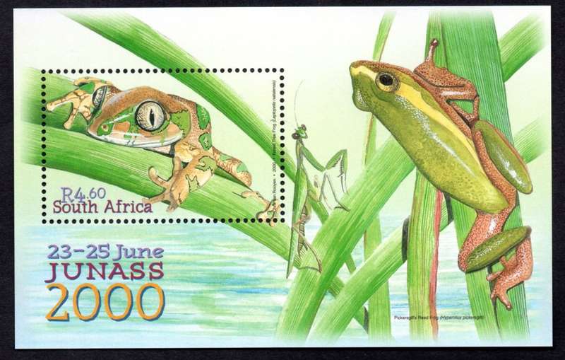 RSA 2000/06/23 Junass 2000 Miniature Sheet