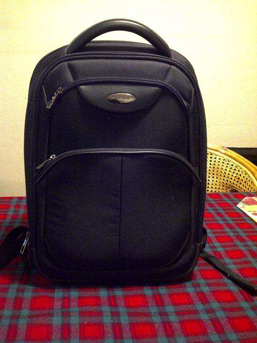 Samsonite Laptop Backpack