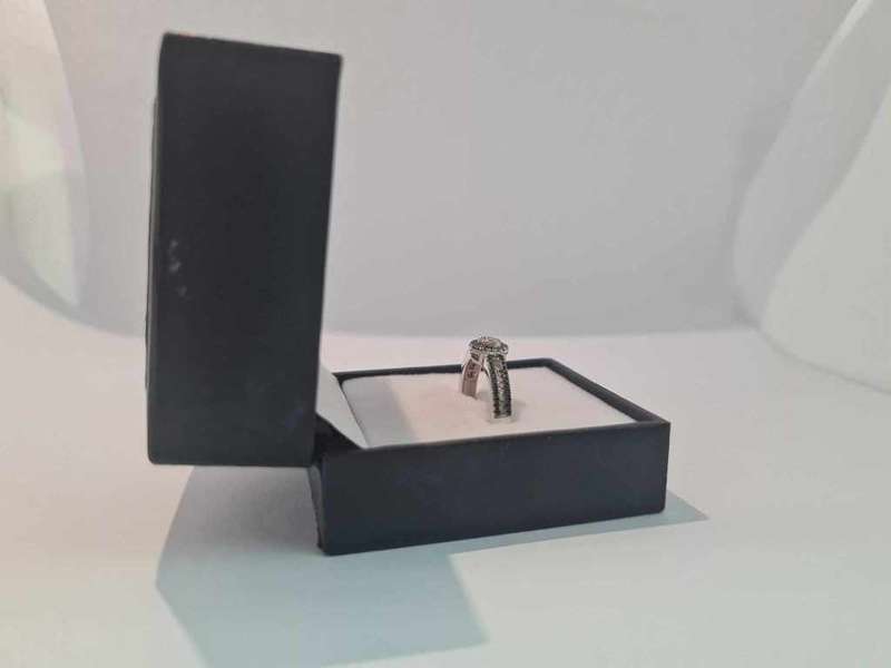 9ct White Gold Halo Black 0.31 ct and White 0.32ct Diamond Ring - Evaluation R27 500