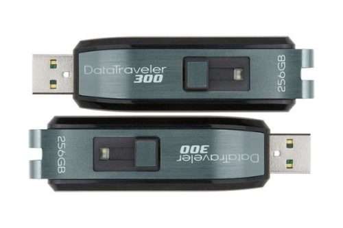 Flash drive 256 gig