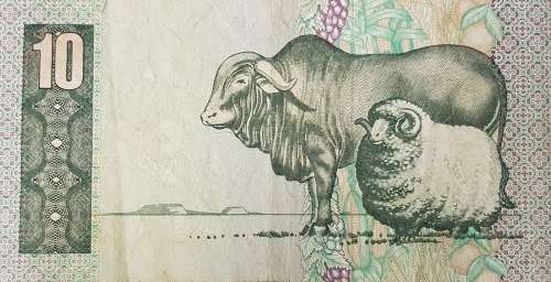 SOUTH AFRICAN TEN RAND BANKNOTE,GPC DE KOCK,EH9879261 C