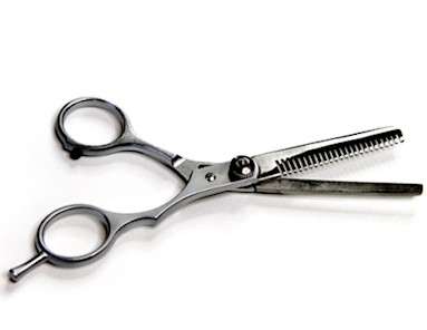 Professional Stainless Steel Thinning Shears.