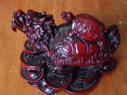 A STUNNING RED ORIENTAL DRAGON TORTOISE !!!!!!!!!!!!!!!