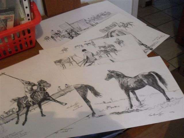 5 VARIOUS HORSE PENCIL POINT SKETCHES ...SIGNED...ORIGINAL...