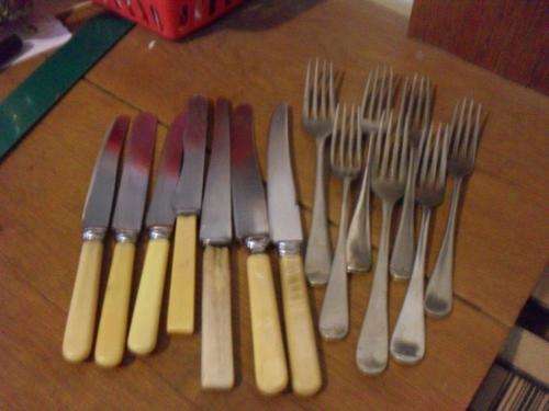 7 VARIOUS BONE HANDLE KNIVES ++ 7VINTAGE  FORKS