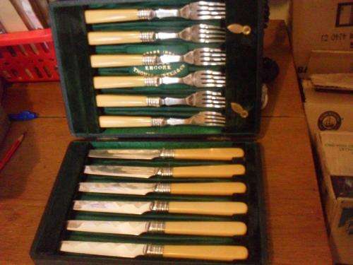 BOXED VINTAGE THOMAS TURNER & CO  BONE HANDLE EP FISH KNIVES/FORKS SET