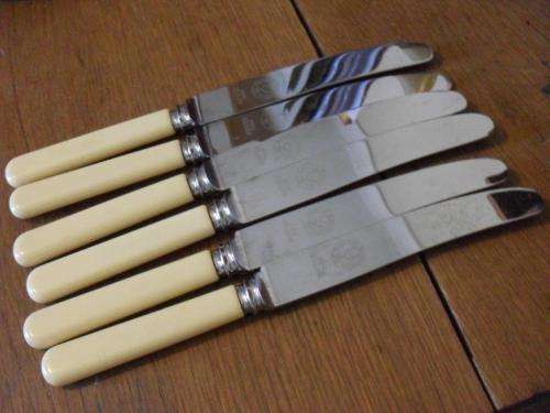A SET OF 6 BONEHANDLE KNIVES...RAWSON BROTHERS LTD