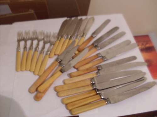 A COLLECTION OF SOME BONEHANDLE CUTLERY HERE...TOTAL 27 ...