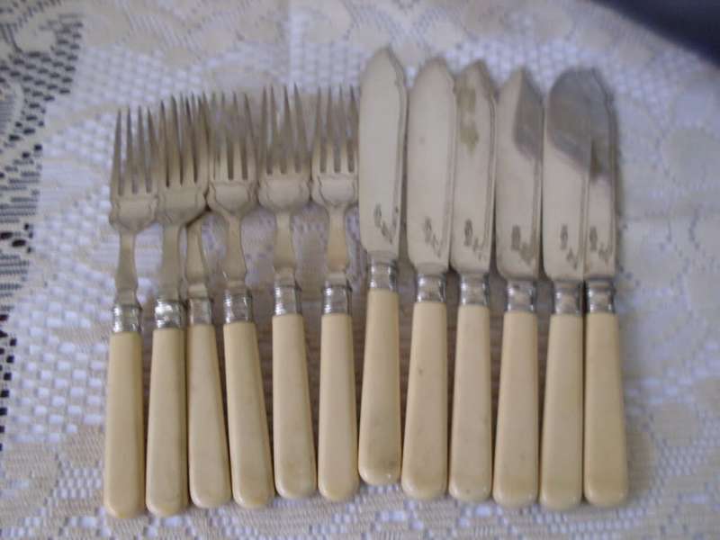 6 BONE HANDLE FISH KNIVES + 6 FORKS WITH HALLMARKED SILVER COLLARS