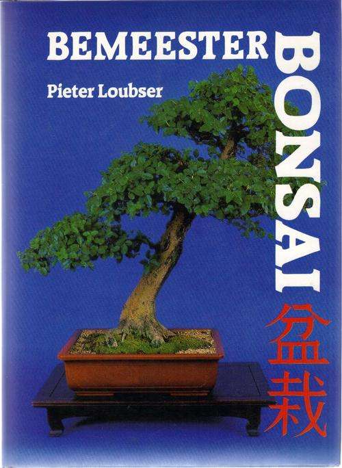 Bemeester Bonsai