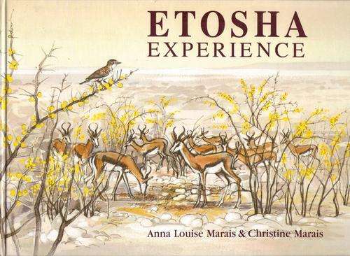 Etosha Experience